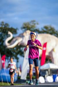 BIB: 
                            <button type="button" onclick="openModal(26541326)" class="btn btn-primary btn-sm float-right btn-popup" data-toggle="modal" data-target=".modal-high-quality">
                        <i class="fas fa-shopping-cart"></i> Add to Cart
                    </button>
                                            <button type="button" onclick="isThisMe(26541326, true)" class="btn btn-success btn-sm float-right btn-popup btn-isme hidden" data-toggle="tooltip" data-placement="bottom" title="นี่คือรูปของคุณใช่ไหม คลิกที่นี่เพื่อเอาเข้าอัลบั้ม">
                        <i class="fas fa-plus"></i> Add to album
                    </button>
                    <button type="button" onclick="isThisMe(26541326, false)" class="btn btn-warning btn-sm float-right btn-popup btn-isnotme hidden">
                        <i class="fas fa-ban"></i> Remove from album
                    </button>